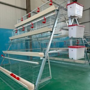 Premium 120 Birds ,128 & 160 Birds Hot-Dip Galvanized Poultry Cage System