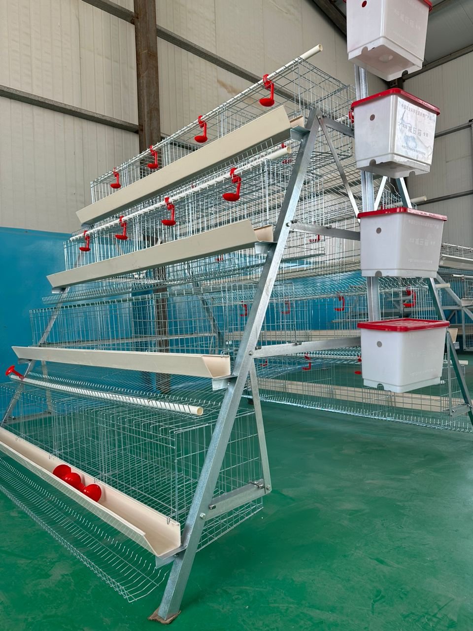 Premium 120 Birds ,128 & 160 Birds Hot-Dip Galvanized Poultry Cage System