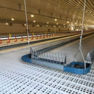 Plastic Floor Crate For Broilers And Day-Old Birds