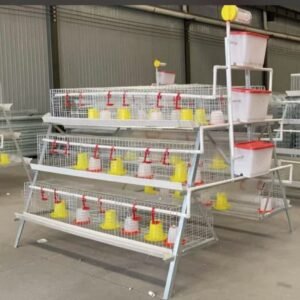 Multi-Tier Brooding Cage for Day-Old Chicks (Broilers & Layers)