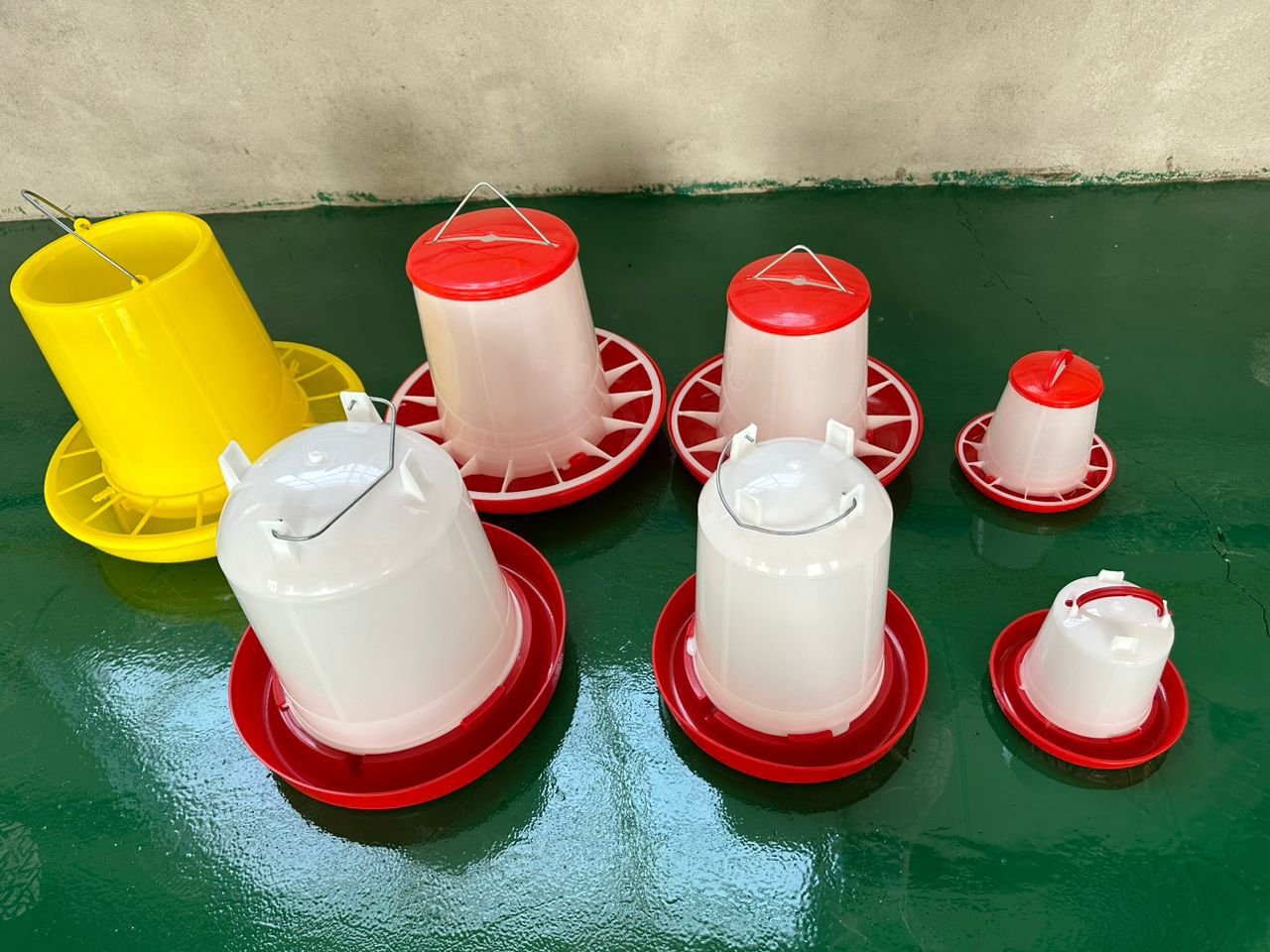 China Plastic Poultry Feeders (1kg, 3kg, 6kg, 8kg & 10kg Capacity)