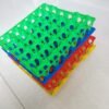 Indian Plastic Egg Crate (30 Eggs Capacity)