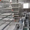 Fully Automated A-Type Cage System for Poultry Farming(10,000 Birds Above)