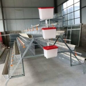 3-Tier Hot Dip Galvanized Poultry Layer Cage System