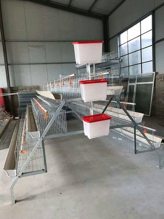 3-Tier Hot Dip Galvanized Poultry Layer Cage System