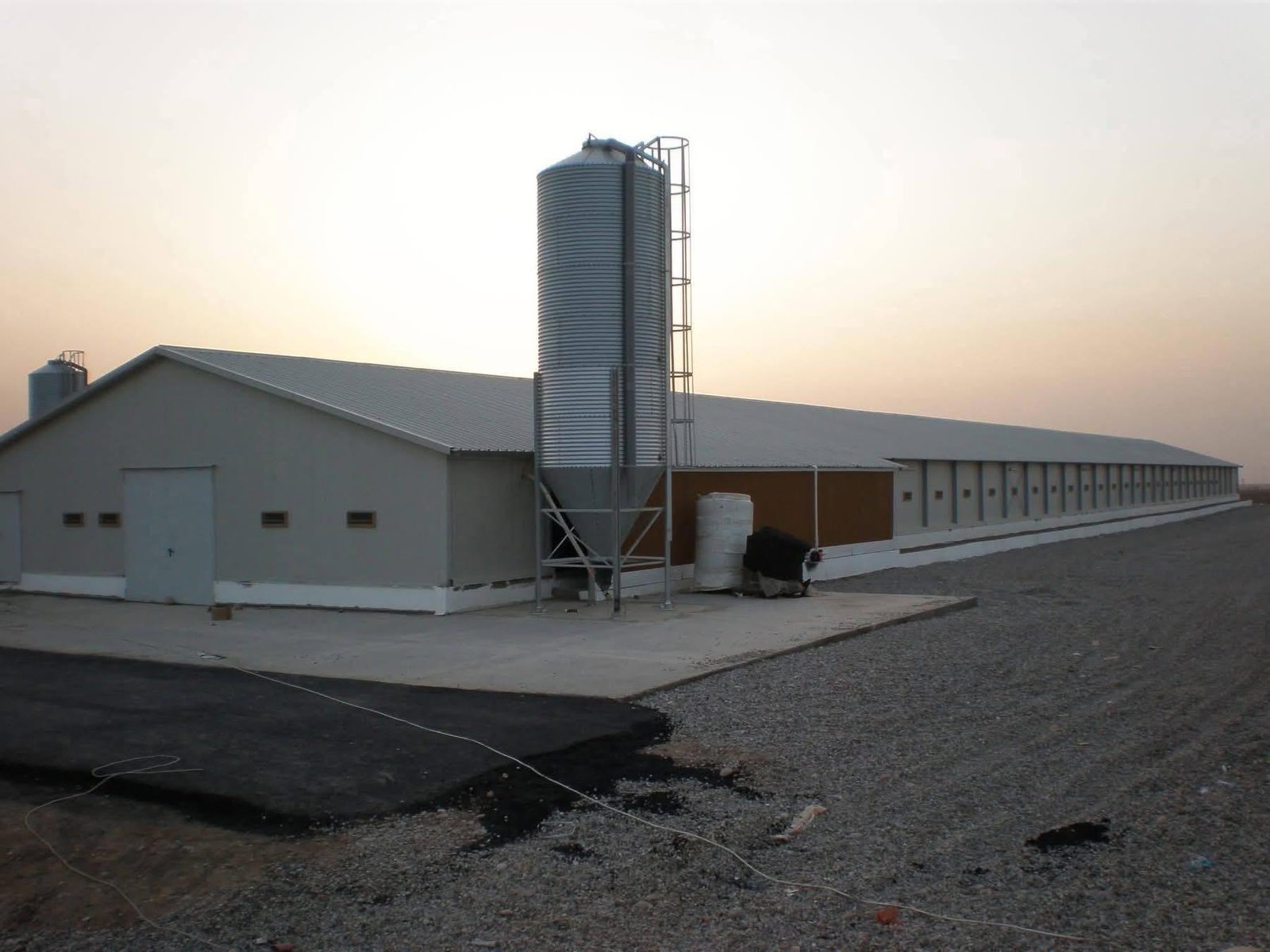 20,000+ Capacity Automated Poultry House System