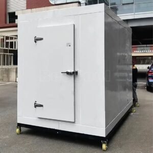 Solar enabled-Industrial Blast Freezer Cold Room for Poultry & Farm Products