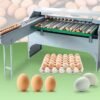 Automatic Egg Grading & Sorting Machine For Poultry Farms