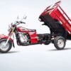 Heavy-Duty Farm Cargo Tricycle (Poultry & Agricultural Transport Bike)