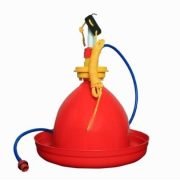 India Jumbo Nova Drinker