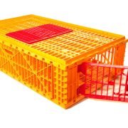 India Transport Crate