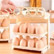 India egg tray